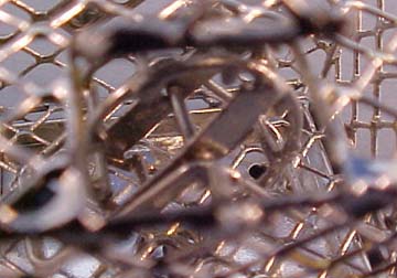 eiwf306hamstercage eiwf306hamstercage