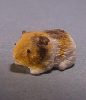 a2900 guinea pig