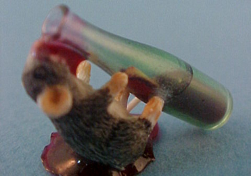 ju1096tipsycritter ju1096tipsycritter