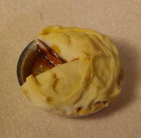 mcm019 1/2" pie mcm019 1/2" pie