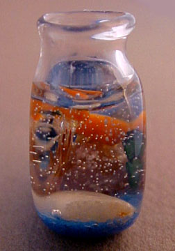 mcm704fishbowl mcm704fishbowl