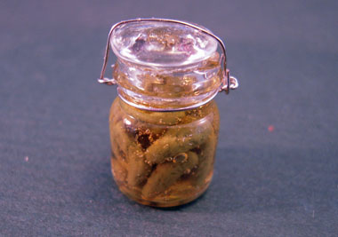 mm301 canning jar of pickles mm301 canning jar of pickles