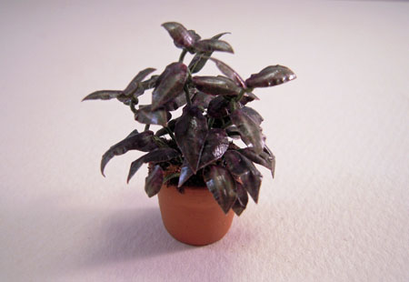 Falcon Potted Green with Shiny Leaves Plant 1:24 scale Falcon Potted Green with Shiny Leaves Plant 1:24 scale