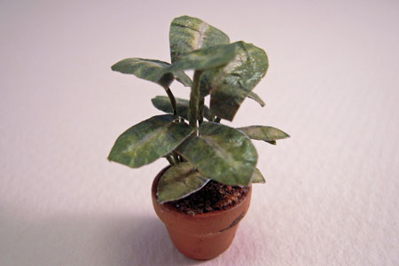 Falcon Potted Green Broad Leaf Plant 1:24 Falcon Potted Green Broad Leaf Plant 1:24