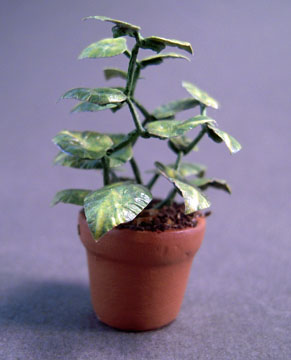 mr1052 1/2" scale potted fig tree ficus mr1052 1/2" scale potted fig tree ficus