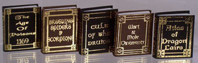 Dollhouse Miniature Replica Wizard Reference Spell Book Set of 5 ~ NI214 