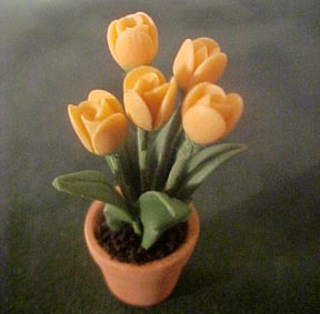 kmb029tulips kmb029tulips