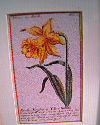 Mc Bay Miniatures 1" Scale Framed Yellow Daffodil Print