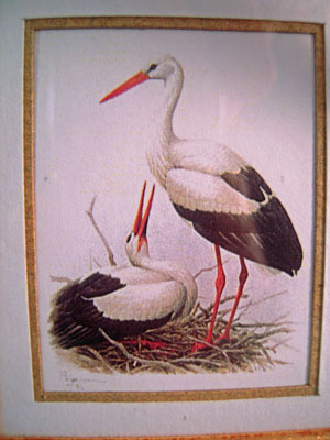 Mc Bay Miniatures 1" Scale Woodstork Print