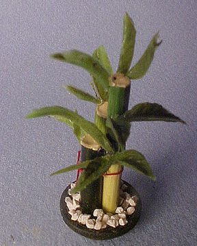 z036bamboo z036bamboo