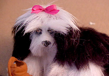 z214dog z214dog