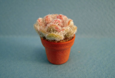 Bright deLights Potted Cholla Cactus 1:12 scale