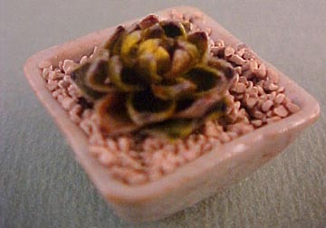 Tucker's Tiny Treasures Fancy Cactus Square Planter 1:12 scale